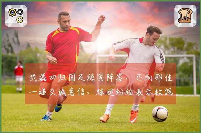 武磊回归国足稳固阵容，已向邵佳一递交诚意信，球迷纷纷表示钦佩